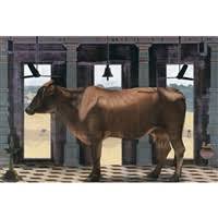 Bildergebnis für NATARAJ SHARMA