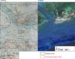 ghost reefs nautical charts document large spatial scale of