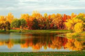 You will be a valued part of our family. Advanced Pet Care Of Clear Lake Homes Of Heaven
