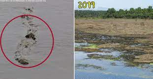 Directed by nordin ahmad written by a. Tasik Chini Is Drying Up Will We Finally See If Malaysia S Loch Ness Monster Exists