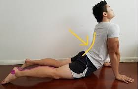 If you can't help but arch your back in a full plank, build up your core strength by bringing it back to basics. How To Fix An Arched Back Hyperlordosis Posture Direct