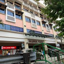 Downtown line, north south line. Pet Lovers Balmoral Plaza Online Shopping