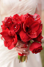 Check spelling or type a new query. Hibiscus Archives Bouquet Wedding Flower