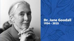 Cancer Survivor Pat Elliott