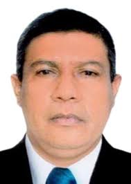 Ingresos de Otorongos Elecciones 2022