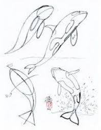 Pin On Killer Whales