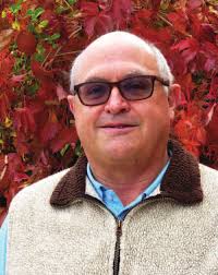 Coroner: Petito strangled