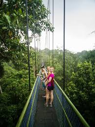 The front desk is staffed during limited hours. Singapore The Macritchie Reserve And The Treetop Walk By Balazs Hada Medium