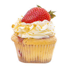 Image result for tbn:kc8eABZg-wZjqM::blog.lib.umn.edu/biomdoc/access_services/cupcake.jpg