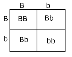 !missing this part of my book please help! Is It Possible That A Blond Child Is Born To Non Blond Brunette Or Dark Haired Parents Quora