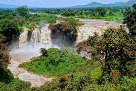 They offer important protection for some of ethiopia's endemic wildlife, and sitting amid a troop of tame gelada monkeys is an experience you'll never forget. Ethiopia Ethiopie On Twitter Amazing Places On Earth Waterfall Nile River