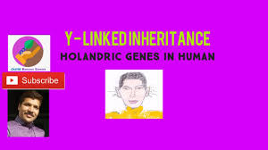 Is to be a father to; Y Linked Inheritance Holandric Genes Youtube
