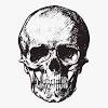 Gambar tengkorak hitam putih, gambar tengkorak bajak laut, gambar tengkorak bersayap, gambar tengkorak keren berwarna, gambar pohon transparent png pictures free icons and png sumber : 1