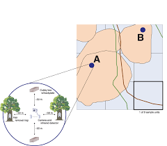 Ettevõttega saate ühendust numbril (207). Multi Scale Occupancy Estimation And Modelling Using Multiple Detection Methods Nichols 2008 Journal Of Applied Ecology Wiley Online Library