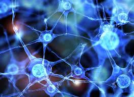 For instance, when patients undergo a round of chemotherapy, often the tumors will shrink. Most Difficult Cancers To Treat Could Be Targeted With Breakthrough Nanocapsule