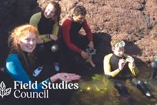 Field Studies Council Snorkelling for Marine Biology