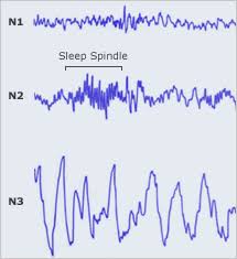 Natural Patterns Of Sleep Healthy Sleep