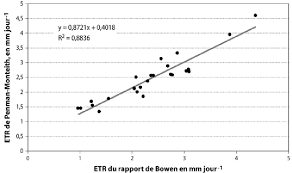 Image result for Loudetia arundinacea
