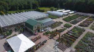 Submit your business listing | help & contact us. Lake Street Garden Center Llc