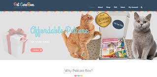 Calling all cat ladies—you know who you are. 7 Uk Cat Boxes Soggy Musings