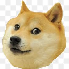 Dogecoin core, on the other hand, is a full wallet. Dogecoin Png And Dogecoin Transparent Clipart Free Download Cleanpng Kisspng