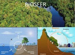Biosfer Pengertian Karakteristik Dan Faktor Faktor Yang Mempengaruhinya Secara Lengkap Http Www Gurupendidikan Com Biosfer Pengertian Ka Hidup Ekosistem
