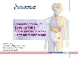 Steroidhormone leiten sich vom cholesterin ab und sind daher gut fettlöslich und schwer. Steroidhormone Im Speichel Teil 3 Ppt Video Online Herunterladen