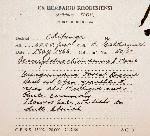 Image result for Haumaniastrum dissitifolium