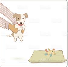 a puppy got adopted sanat hayvanlar yastiklar