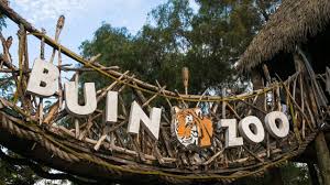 Buin zoo 2 недель назад. Zoo