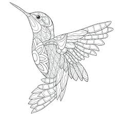 So get your feeders out and grab your crayons and colored pencils, its time to enjoy coloring. Bird Mandala Coloring Pages Thaifaa