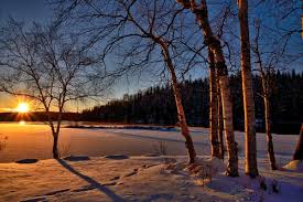 Checkout high quality landscape wallpapers for android, pc & mac, laptop, smartphones, desktop and tablets with different resolutions. 100 000 Best Winter Landscape Photos 100 Free Download Pexels Stock Photos
