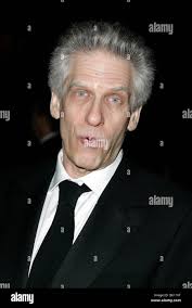 David palme -Fotos und -Bildmaterial in hoher Auflösung