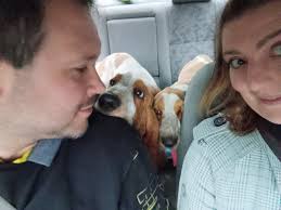 Nasze Bassety :: Zobacz temat