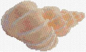 Seashell treasures 1 of 3. Free Seashell Cross Stitch Patterns