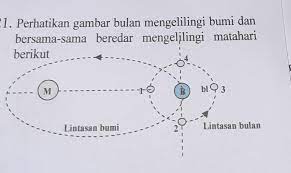 Pasang perbani terjadi saat bulan berada di kuarter i dan iii. 1 Dari Gambar Diatas Pasang Perbani Terjadi Pada Saat Bulan Berada Pada Posisi A 1 Dan 2b 1 Dan Brainly Co Id
