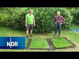 Fast jeder liebt erdbeeren, aber der anbau ist nicht immer ganz einfach. Pin Auf Garten