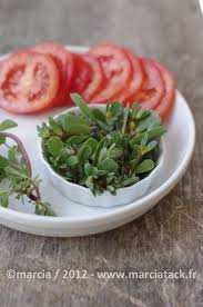 Le Pourpier Recettes Pour Le Consommer Recettes De Cuisine Recettes Crues Cuisine