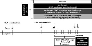 Check spelling or type a new query. Nebivolol Attenuates Oxidative Stress And Inflammation In A Guinea Pig Model Of Ovalbumin Induced Asthma A Possible Mechanism For Its Favorable Respiratory Effects