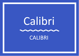 the 5 best resume fonts localwise