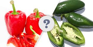 'spicy' can and is certainly used that way. What Is The Difference Between Hot Peppers And Sweet Peppers Chowhound
