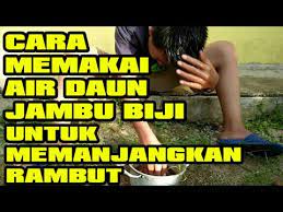 We did not find results for: Cara Memakai Air Daun Jambu Biji Youtube