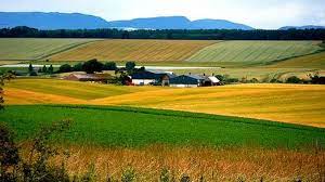 Vanzarea cu halca a romaniei. Ministerul Agriculturii PregÄteÈte ModificÄri Pentru Depunerea Cererii Unice In Campania 2017