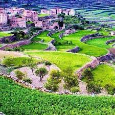 صور من بلادي اليمن golf courses yemen field