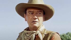 The Undefeated (1969)