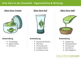 aloe vera wirkung anbau hausmittel zum selbermachen aloe vera wirkung aloe vera lr aloe vera gel