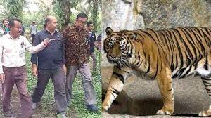We did not find results for: Heboh Suara Harimau Di Kampus Mahasiswa Sampai Lari Ketakutan Fakta Di Balik Auman Terungkap Halaman 2 Tribun Jatim