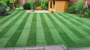 A beautiful lawn does not happen by itself. New Turf Care How To Look After Your Freshly Laid Lawn In 5 Easy Steps