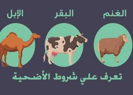 أنه يكبر من صبح يوم عرفة إلى العصر من آخر أيام التشريق، وهذا قول عمر وعلي وابن عباس وابن مسعود وجابر وعمار والزهري وكحول وسفيان. Ø´Ø±ÙˆØ· Ø§Ù„Ø§Ø¶Ø­ÙŠØ© ÙÙŠ Ø§Ù„Ø¹ÙŠØ¯ ÙÙŠØ¯ÙŠÙˆ Ø§Ù„Ù…ØµØ±ÙŠ Ø§Ù„ÙŠÙˆÙ…