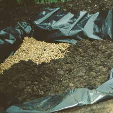 Check spelling or type a new query. How To Build A Bog Garden Around Your Pond